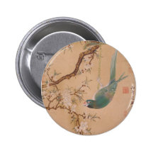 pájaro pins