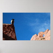 Pájaro y roca posters