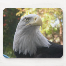 Pájaros 008 Eagle calvo Mousepad Alfombrillas De Ratones