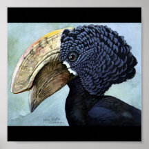 Pájaros Arte-Abisinios 15 de Chicago del Poster-Vi