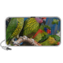 Pájaros coloridos altavoz de viajar