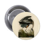 Pájaros de la garza de gran azul de Audubon Pin
