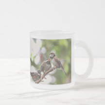 Pájaros de la madre y de bebé tazas