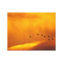 Pájaros de la puesta del sol lona estirada galerias