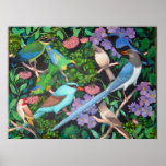 Pájaros de la selva del poster de Asia