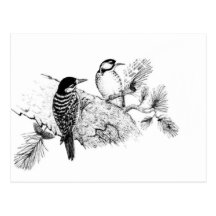 Pájaros del amor del vintage que casan la invitaci postal