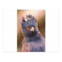 pájaros exóticos postal