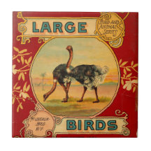 Pájaros grandes azulejo ceramica