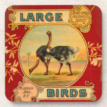 Pájaros grandes posavasos