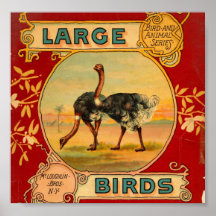 Pájaros grandes poster