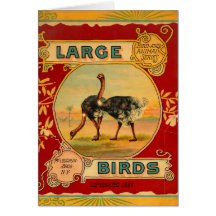Pájaros grandes tarjeta