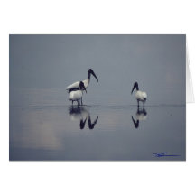 Pájaros - humedales - cigüeñas de madera tarjeta