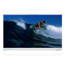 Pájaros que practican surf postales