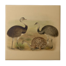Pájaros suramericanos de Rhea del vintage Teja