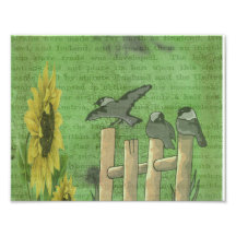 Pájaros y girasoles impresion fotografica