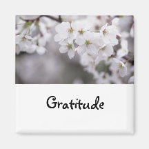 Palabras a vivir cerca: Imán de la gratitud