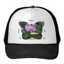 Palabras de la mariposa a vivir cerca gorros  