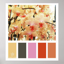 Paleta de colores de las orquídeas posters