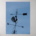 Paleta de tiempo del gallo poster