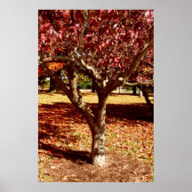 Paleta del otoño poster