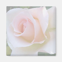 palidezca - el imán cuadrado color de rosa rosado