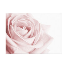 Palidezca - la flor color de rosa rosada en lona impresion de lienzo
