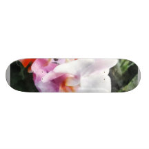 Palidezca - las orquídeas rosadas del Phalaenopsis Tablas De Skate