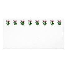 Palidezca - los tulipanes rosados tarjeta personal