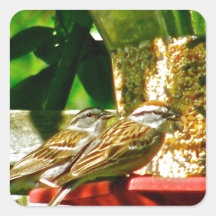 Palillo del Birds of a Feather junto Pegatinas