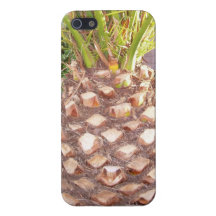 Palma datilera de Phoenix iPhone 5 Funda