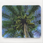 Palma de coco alfombrilla de ratón