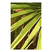 PALMA NATURAL PAPELERIA PERSONALIZADA