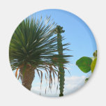Palma y cactus iman de nevera