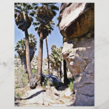 Palmas de fan de California, oasis perdido de las  Tarjetas Publicitarias
