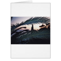 Palmas de la puesta del sol tarjetas