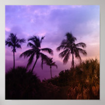 Palmas del arco iris posters