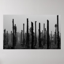Palmas muertas posters
