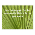 Palmenblatt Postkarte