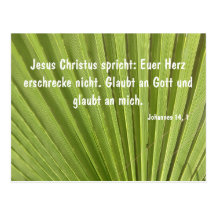 Palmenblatt Postkarte
