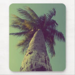 Palmera Alfombrillas De Raton