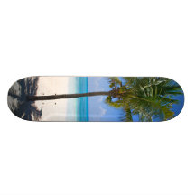 Palmera de Bahamas Patin