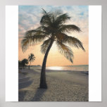 Palmera en la puesta del sol posters