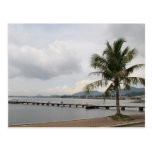 Palmera en un muelle postal