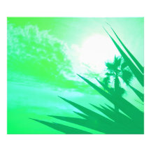 palmera impresion fotografica