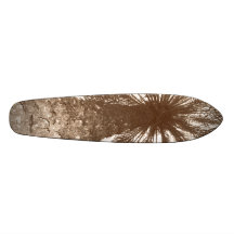 Palmera retra tablas de patinar