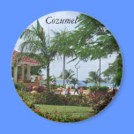 Palmera tropical de Cozumel imanes