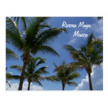 Palmeras de Cancun México el Caribe del maya de Ri Postales