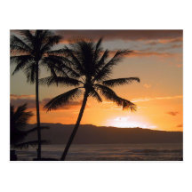 palmeras de la escena de la playa tarjeta postal