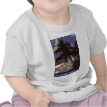 Palmeras exóticas camisetas