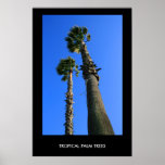 Palmeras tropicales poster, impresión